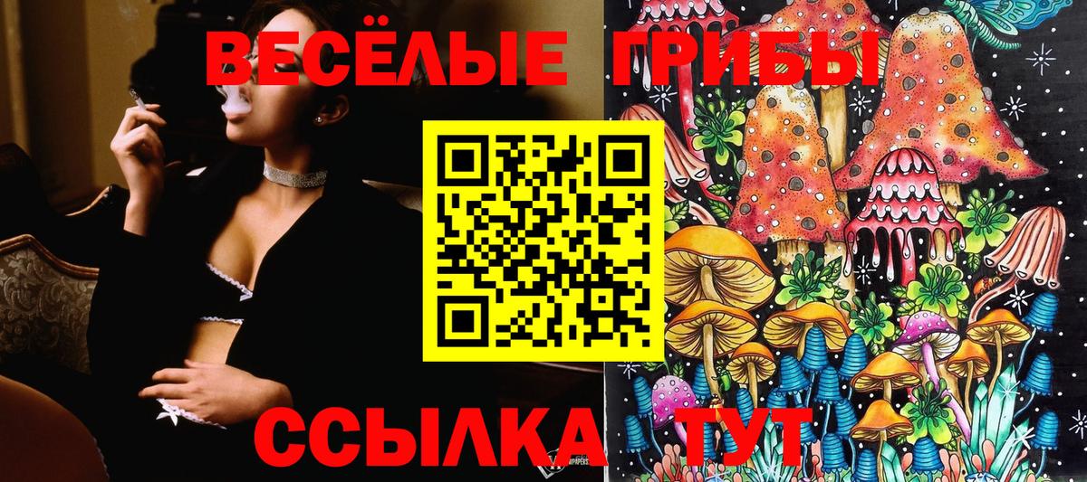 Псилоцибиновые грибы Psilocybine cubensis Похвистнево