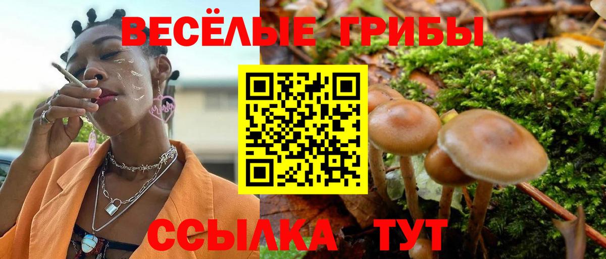 Псилоцибиновые грибы Cubensis  где найти наркотики  Похвистнево  Вход с VPN 